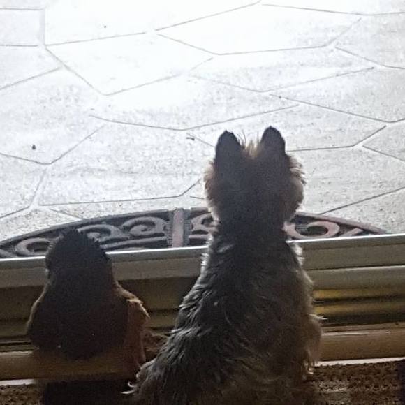 Meet your Posher, John - Picture 1 of 1